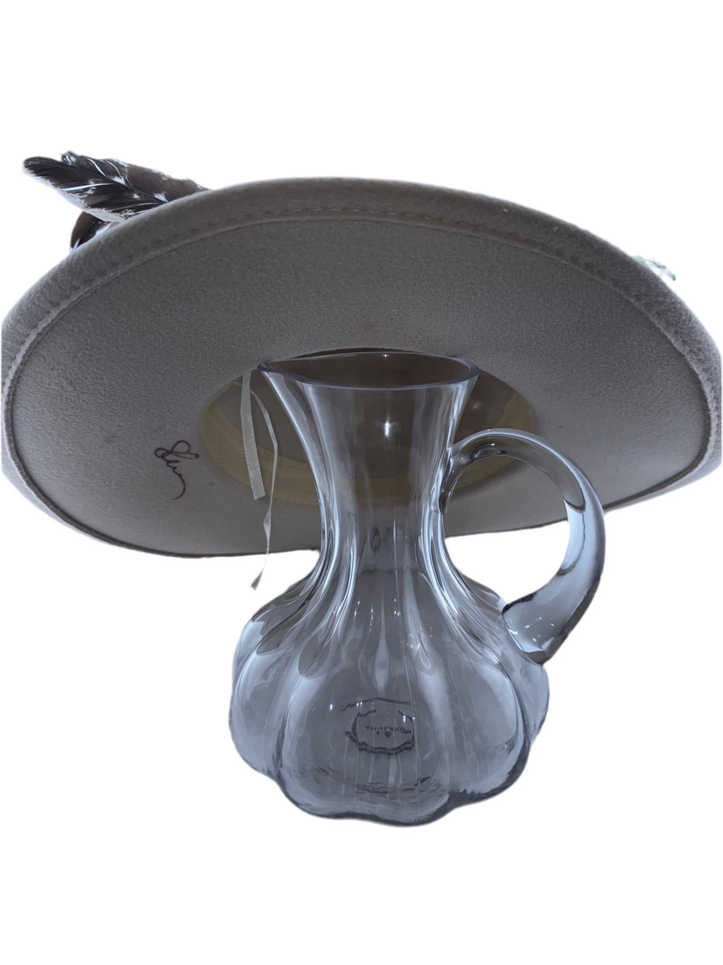 Custom Duck Hunting Western Hat 🎩🦆